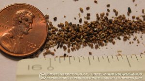 termite pellets, termites, termite, termite control