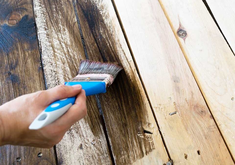 Will Painting Wood Prevent Termites? – Chem Free